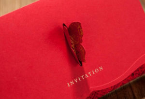 Flying Wings - Image 2