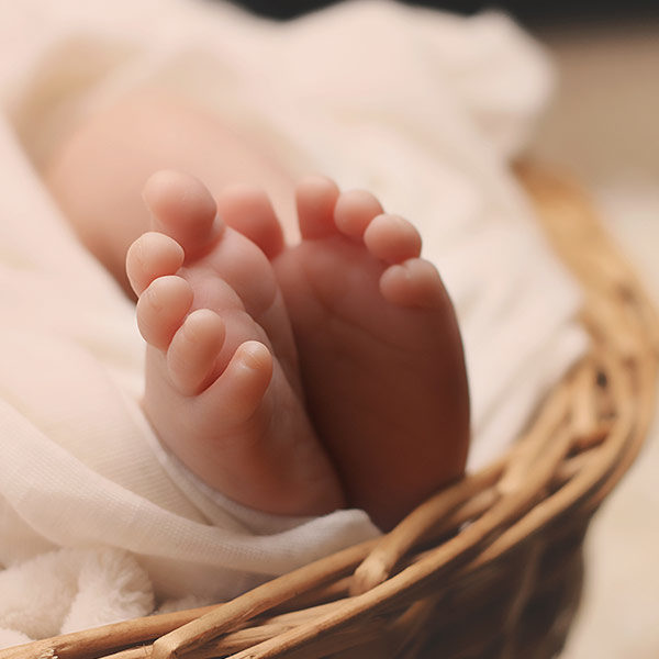 Baby Photography - Image 1