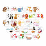 24-pack Baby Monthly Stickers